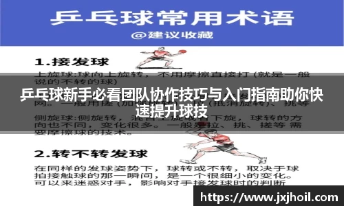 乒乓球新手必看团队协作技巧与入门指南助你快速提升球技